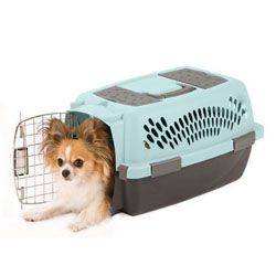 Carriers & Travel Products