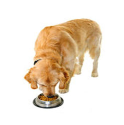 Feeding & Water Supplies