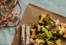 Exploring the Best in Pet Supplies: A Guide to James Dog Store Pet Supplies