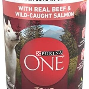 Purina ONE High Protein Wet Dog Food True Instinct Tender Cuts in Dog Food Gravy With Real Beef and Wild-Caught Salmon - (Pack of 12) 13 oz. Cans
