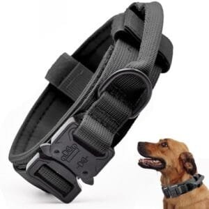 Tactical Dog Collar, Adjustable Military Training Nylon Dog Collar with Control Handle and Heavy Quick-Release Metal Buckle for Small Medium Large Dogs, Black L : Pet Supplies