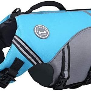 VIVAGLORY Sports Style Dog Life Vest, Dog Life Jacket for Swimming & Boating, Ripstop & Buoyancy for Puppy Doggy, Lifejacket with Handle, L, Blue : Pet Supplies