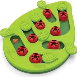 Catstages Buggin' Out Puzzle & Play, Interactive Treat Puzzle Cat Toy 13 in x 9.5 in, Green