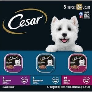 Cesar Filets in Gravy Adult Wet Dog Food, Filet Mignon, New York Strip and Prime Rib Flavors Multipack, 3.5 oz. (24 Count, Pack of 1) Pet Supplies: