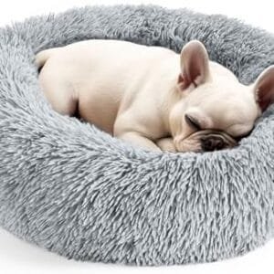 Hoewina Dog & Cat Bed for Indoor Cats, 20in Calming Donut Bed for Puppy and Kitten, Washable Round Fluffy Pet Bed for Small Medium Dogs and Cats (Light Grey) : Pet Supplies