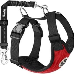 SlowTon Dog Seat Belt Harness for Car, Dog Car Harness Adjustable Mesh Breathable & Dog Seatbelt Safety Tether with Elastic Bungee for Small Medium Large Pets(Red, Double Clip, M) : Pet Supplies