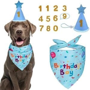 Yicostar Dog Birthday Party Supplies, Dog Birthday Bandana Set, Dog Boy Girl Birthday Party Hat with Numbers for Large Medium Small Dogs Pet (Blue) : Pet Supplies