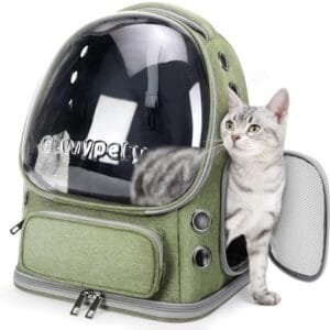 Cawypety Cat Backpack Carrier, Breathable Cat Carrier Large Space Bubble Pet Backpack for Kitty Small Dog up to 15lbs, Transparent & Foldable Pet Carrier for Travel Hiking : Pet Supplies