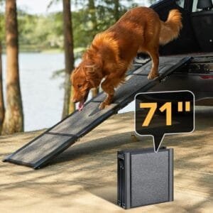 PetThem Dog Ramp for Car 71'' X-Long & 17.2" Wide Folding Dog Ramps for Large Dogs with Non-Slip Rug Surface Portable Dog Car Ramp for SUV Car & Truck, Outdoor Dog Ramp Up to 250 LBS : Pet Supplies