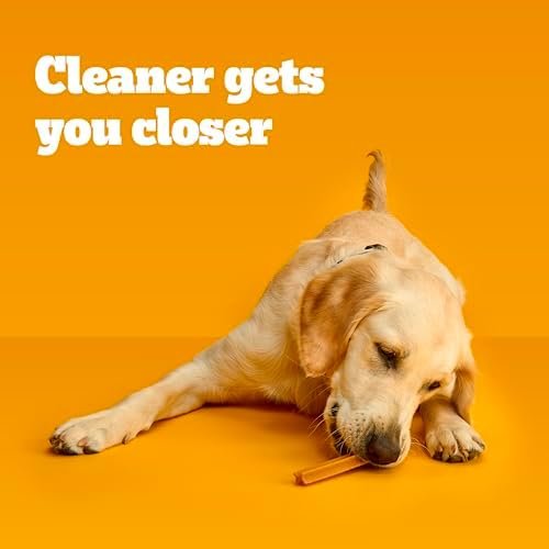 Pedigree Dentastix Large Breed Dog Treats, Original, Beef & Fresh Flavor, 2.73 lb. Variety Pack (51 Treats) : Pet Supplies - Image 6