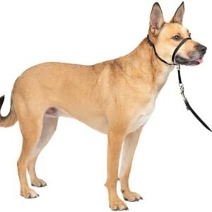 PetSafe Gentle Leader No-Pull Head Collar for Dogs, Dog Head Collar - The Ultimate Solution to Pulling, Padded Nose Loop, Quick-Snap Neck Strap, Dog Halter, Medium - Black : Pet Headcollars : Pet Supplies