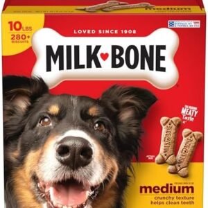 Milk-Bone Original Dog Treats Biscuits for Medium Dogs, 10 Pound : Pet Snack Treats : Pet Supplies