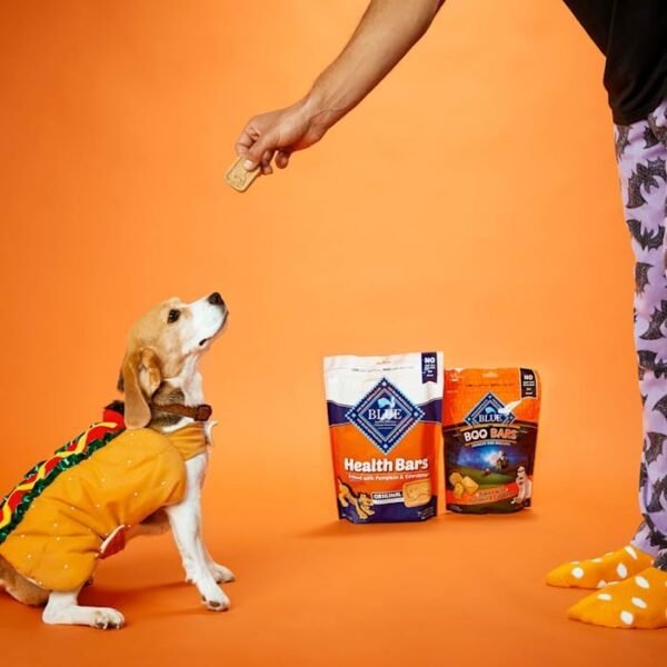 Blue Buffalo Health Bars Crunchy Dog Biscuits, Oven-Baked With Natural Ingredients, Pumpkin & Cinnamon, 16-oz Bag : Pet Treat Biscuits : Pet Supplies - Image 2