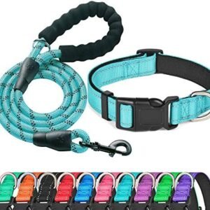 Ladoogo Reflective Dog Collar Padded with Soft Neoprene Breathable Adjustable Nylon Dog Collars for Small Medium Large Dogs (Medium (Pack of 1), Blue Collar+Leash) : Pet Supplies