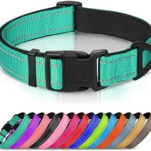 Joytale Reflective Dog Collar,Soft Neoprene Padded Breathable Nylon Pet Collar Adjustable for Large Dogs,Teal,L : Pet Supplies