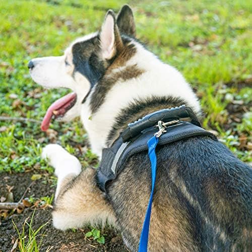 Hi Kiss Dog/Puppy Obedience Recall Training Agility Lead - 15ft 20ft 30ft 50ft 100ft Training Leash - Great for Play, Camping, or Backyard - Black 30ft : Hi Kiss : Pet Supplies - Image 5