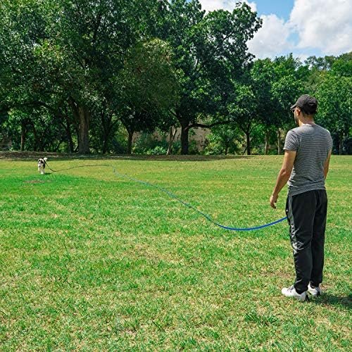 Hi Kiss Dog/Puppy Obedience Recall Training Agility Lead - 15ft 20ft 30ft 50ft 100ft Training Leash - Great for Play, Camping, or Backyard - Black 30ft : Hi Kiss : Pet Supplies - Image 7