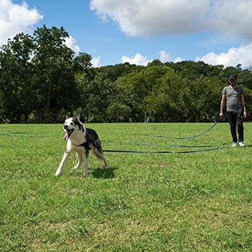 Hi Kiss Dog/Puppy Obedience Recall Training Agility Lead - 15ft 20ft 30ft 50ft 100ft Training Leash - Great for Play, Camping, or Backyard - Black 30ft : Hi Kiss : Pet Supplies - Image 6