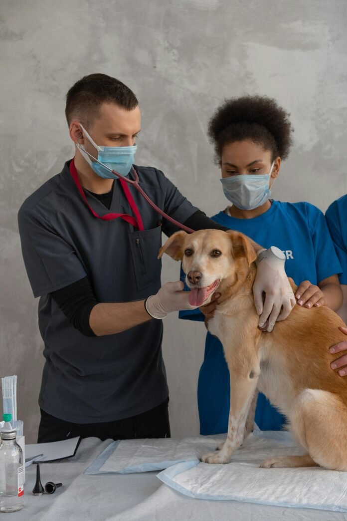 Dog Health